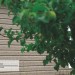 Сайдинг Ю-Пласт TIMBERBLOCK Пихта (Тимберблок) Cахалинская купить в Миассе