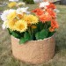 Цветник КАНЬОН купить в Миассе
